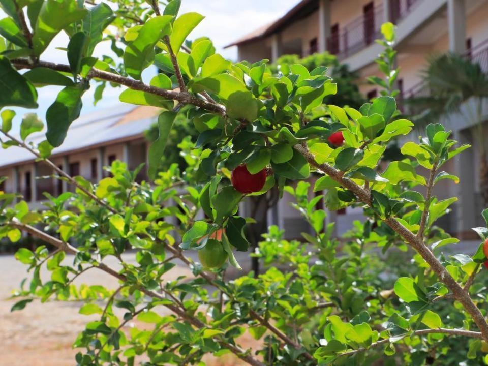 Da Lapa Bom Jesus da Lapa